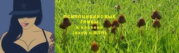 винт Баксан