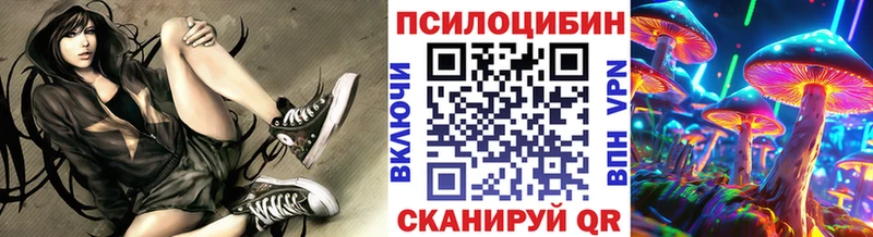 Псилоцибиновые грибы Cubensis Пойковский